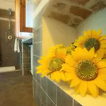 Girasoli By Interhome Апартаменты *