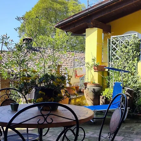 Girasoli By Interhome Lejlighed