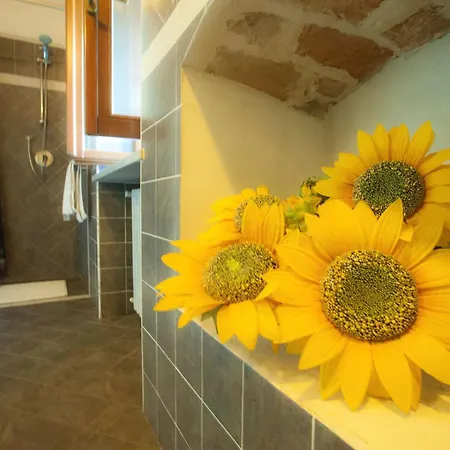 Girasoli By Interhome 公寓 *